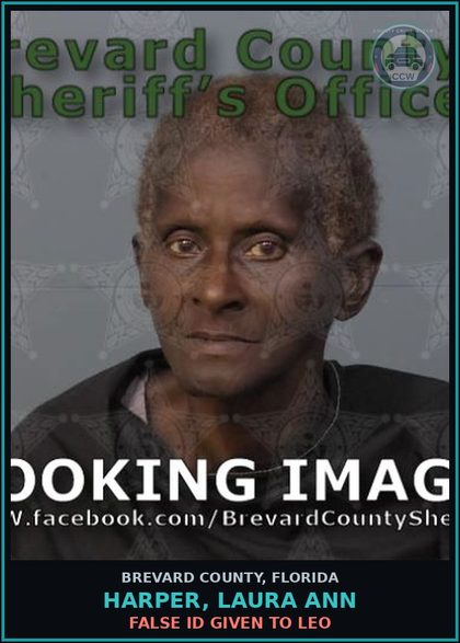 CCW arrest card for HARPER, LAURA ANN in Brevard County: False ID Given to LEO