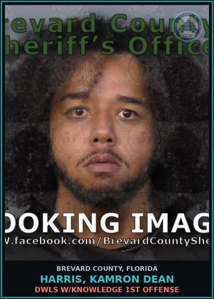 CCW arrest card for HARRIS, KAMRON DEAN in Brevard County: DWLS W/Knowledge 1st Offense