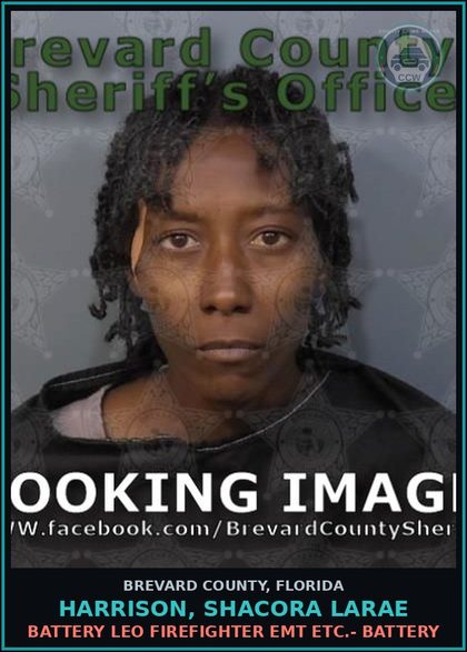 CCW arrest card for HARRISON, SHACORA LARAE in Brevard County: DWLS W/Knowledge 2nd Offense