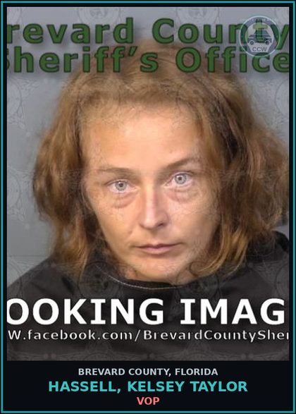 CCW arrest card for Hassell, Kelsey Taylor in Brevard County: VOP