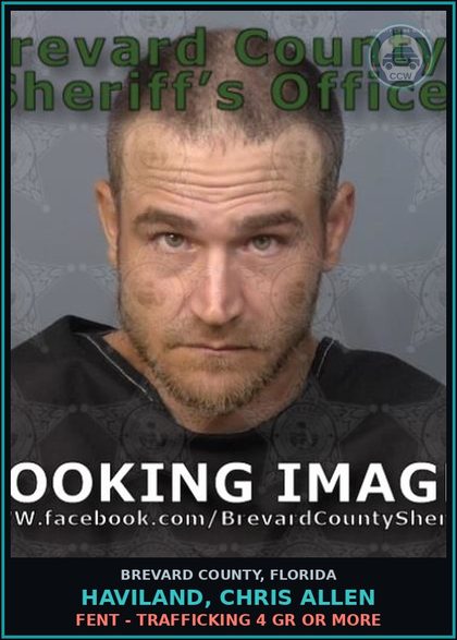 CCW arrest card for HAVILAND, CHRIS ALLEN in Brevard County: Posses contr substance w/o Prescription