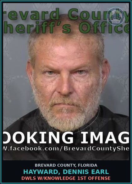 CCW arrest card for HAYWARD, DENNIS EARL in Brevard County: DWLS W/Knowledge 1st Offense