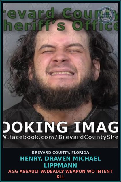 CCW arrest card for HENRY, DRAVEN MICHAEL LIPPMANN in Brevard County: Municipal Ordinance Viol