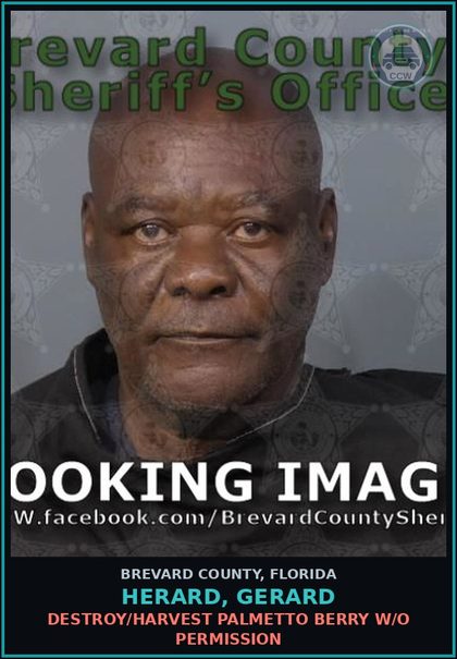 CCW arrest card for HERARD, GERARD in Brevard County: Destroy/Harvest Palmetto Berry W/O Permission