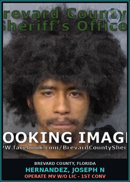 CCW arrest card for HERNANDEZ, JOSEPH N in Brevard County: Operate MV W/O Lic - 1st Conv
