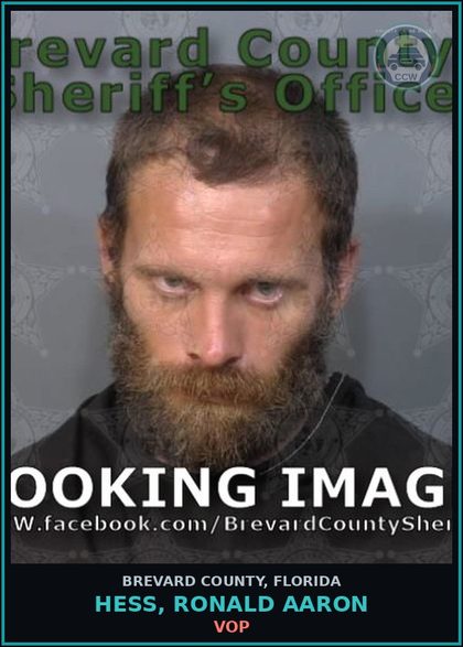 CCW arrest card for Hess, Ronald Aaron in Brevard County: VOP