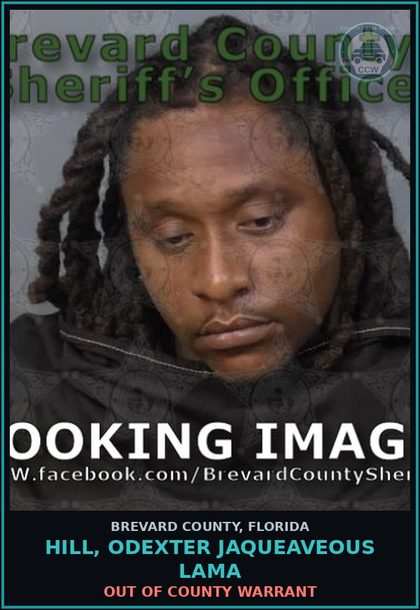 CCW arrest card for Hill, Odexter JAQUEAVEOUS LAMA in Brevard County: Out of County Warrant