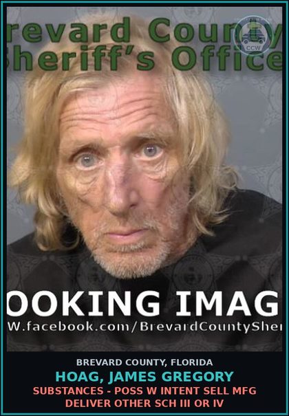 CCW arrest card for Hoag, James Gregory in Brevard County: Drugs - Poss W Intent Sell Mfg Deliver Other Sch III or IV