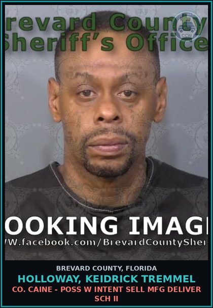 CCW arrest card for HOLLOWAY, KEIDRICK TREMMEL in Brevard County: Cocaine - Poss W Intent Sell Mfg Deliver Sch II
