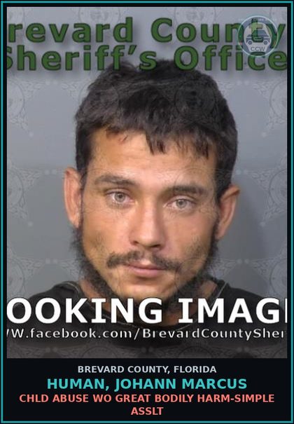 CCW arrest card for Human, Johann Marcus in Brevard County: Make/Poss/Throw/Place/Discharge Destructive Device