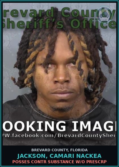 CCW arrest card for JACKSON, CAMARI NACKEA in Brevard County: Posses contr substance w/o Prescription