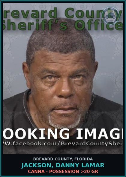 CCW arrest card for Jackson, Danny Lamar in Brevard County: Canna - Possession >20 Gr
