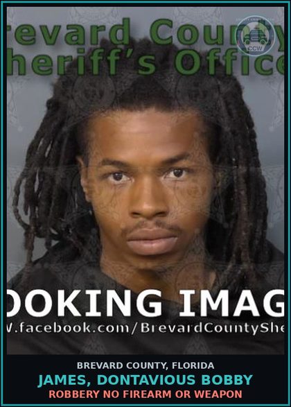 CCW arrest card for JAMES, DONTAVIOUS BOBBY in Brevard County: Breach of Peace-Disorderly Conduct