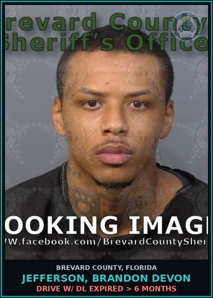 CCW arrest card for JEFFERSON, BRANDON DEVON in Brevard County: Drive w/ DL Expired > 6 months