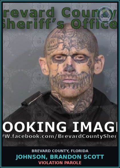 CCW arrest card for Johnson, Brandon Scott in Brevard County: Violation Parole