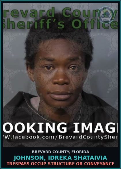 CCW arrest card for Johnson, Idreka Shataivia in Brevard County: VOP