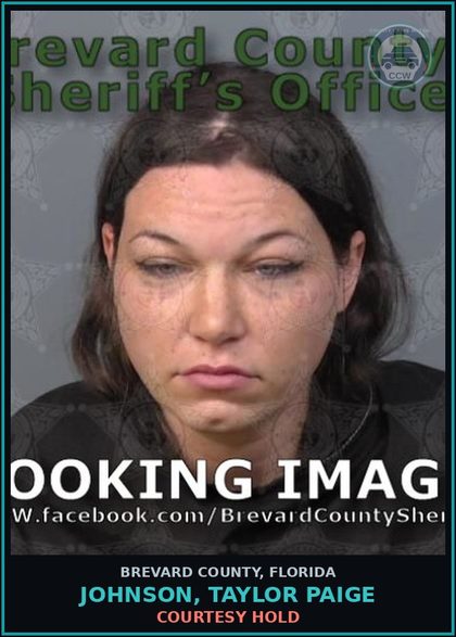 CCW arrest card for JOHNSON, TAYLOR PAIGE in Brevard County: Courtesy Hold