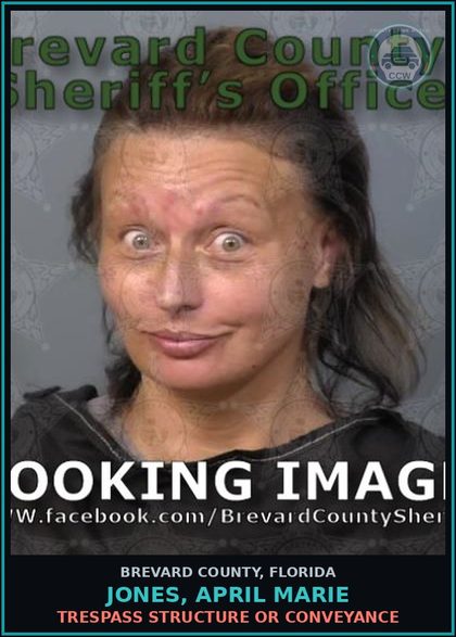 CCW arrest card for Jones, April Marie in Brevard County: Trespass Structure or Conveyance