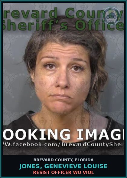 CCW arrest card for JONES, GENEVIEVE LOUISE in Brevard County: Resist Officer WO Viol