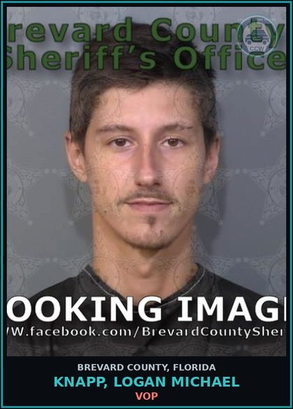 CCW arrest card for KNAPP, LOGAN MICHAEL in Brevard County: VOP