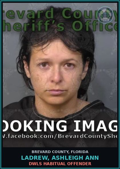 CCW arrest card for LADREW, ASHLEIGH ANN in Brevard County: DWLS Habitual Offender