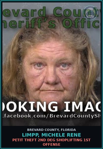 CCW arrest card for Limpp, Michele Rene in Brevard County: Petit Theft 2nd Deg Shoplifting 1st Offense