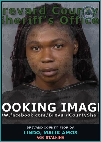 CCW arrest card for LINDO, MALIK AMOS in Brevard County: Agg Stalking
