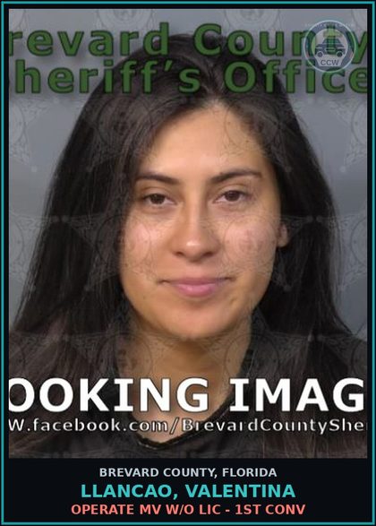 CCW arrest card for LLANCAO, VALENTINA in Brevard County: Operate MV W/O Lic - 1st Conv