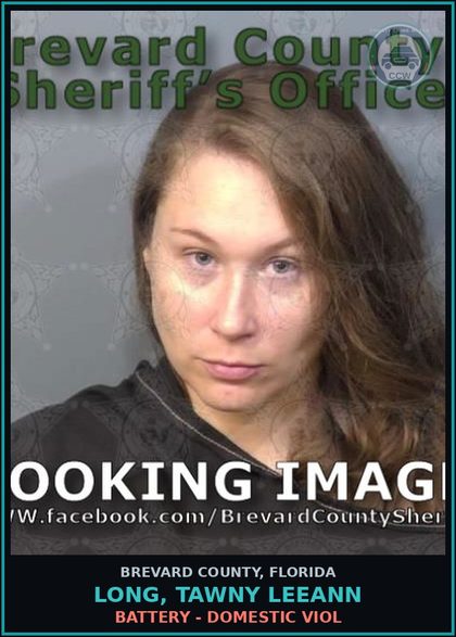 CCW arrest card for Long, Tawny Leeann in Brevard County: Battery - Domestic Viol