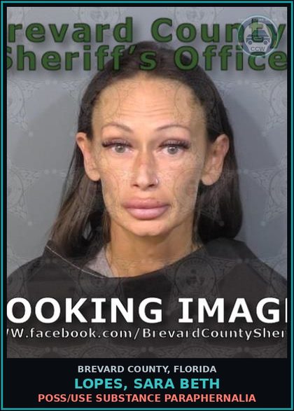 CCW arrest card for LOPES, SARA BETH in Brevard County: Poss/Use Drug Paraphernalia