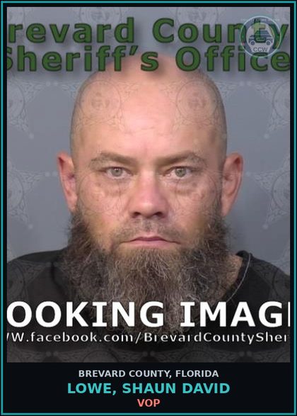 CCW arrest card for Lowe, Shaun David in Brevard County: VOP