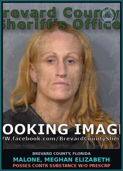CCW arrest card for MALONE, MEGHAN ELIZABETH in Brevard County: Posses contr substance w/o Prescription