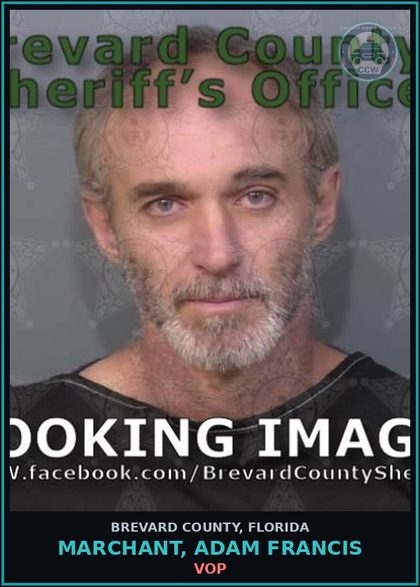 CCW arrest card for MARCHANT, ADAM FRANCIS in Brevard County: VOP