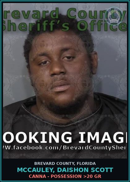 CCW arrest card for MCCAULEY, DAISHON SCOTT in Brevard County: Poss/Use Drug Paraphernalia