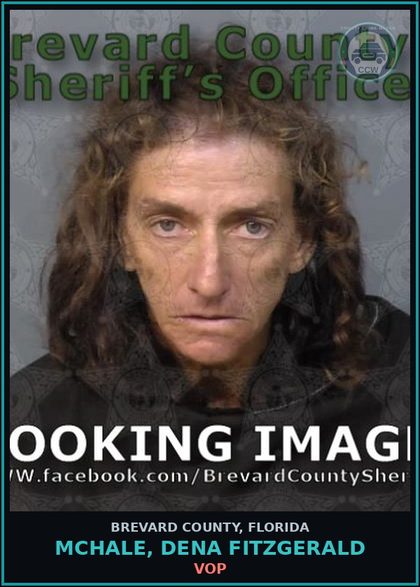 CCW arrest card for McHale, Dena Fitzgerald in Brevard County: VOP