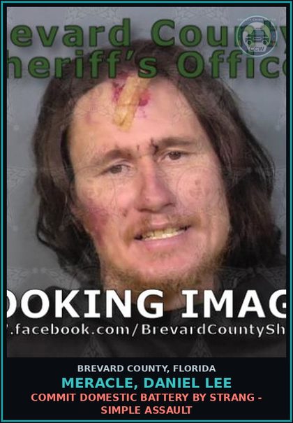 CCW arrest card for Meracle, Daniel Lee in Brevard County: Resist Officer WO Viol