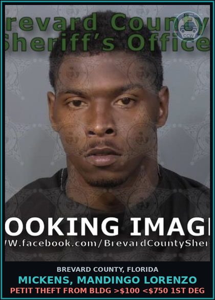 CCW arrest card for MICKENS, MANDINGO LORENZO in Brevard County: Resist Officer WO Viol