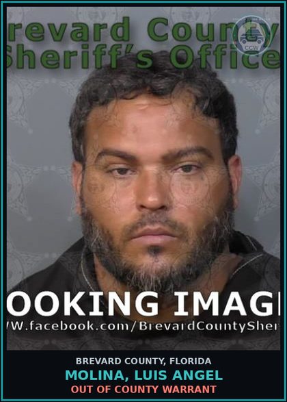 CCW arrest card for Molina, Luis Angel in Brevard County: Out of County Warrant