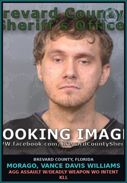CCW arrest card for MORAGO, VANCE DAVIS WILLIAMS in Brevard County: Battery - Domestic Viol