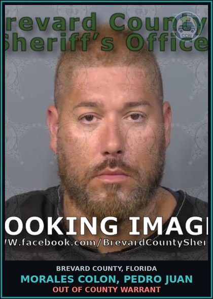 CCW arrest card for MORALES COLON, PEDRO JUAN in Brevard County: Out of County Warrant