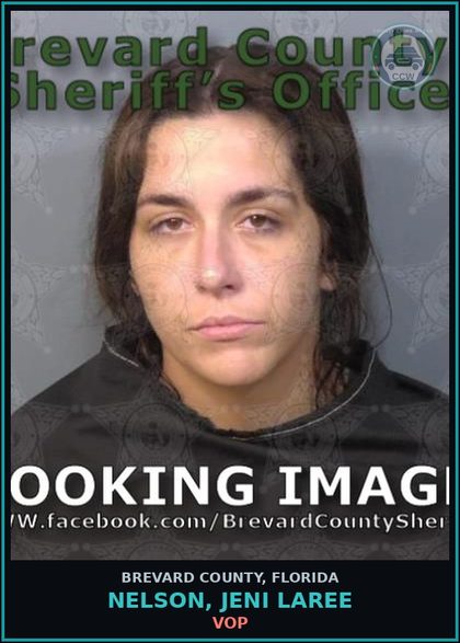CCW arrest card for Nelson, Jeni Laree in Brevard County: VOP