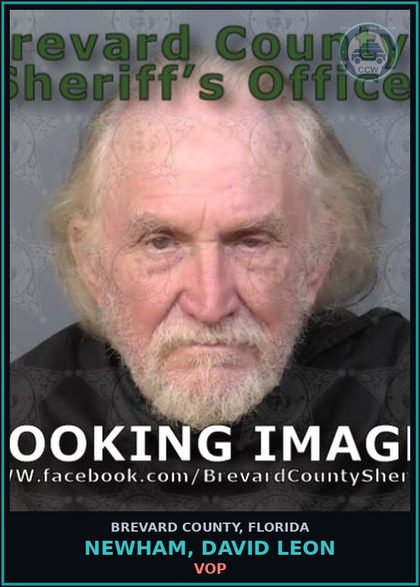 CCW arrest card for NEWHAM, DAVID LEON in Brevard County: VOP