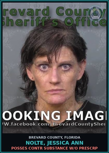 CCW arrest card for NOLTE, JESSICA ANN in Brevard County: Posses contr substance w/o Prescription