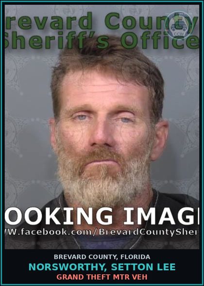 CCW arrest card for NORSWORTHY, SETTON LEE in Brevard County: VOP