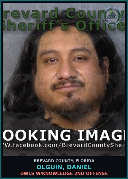 CCW arrest card for OLGUIN, DANIEL in Brevard County: DWLS W/Knowledge 2nd Offense