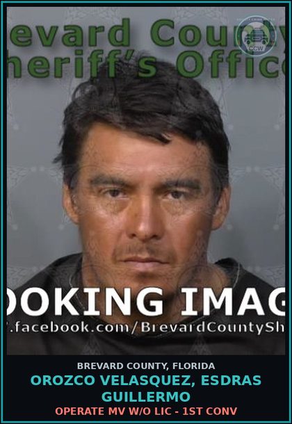 CCW arrest card for OROZCO VELASQUEZ, ESDRAS GUILLERMO in Brevard County: Operate MV W/O Lic - 1st Conv