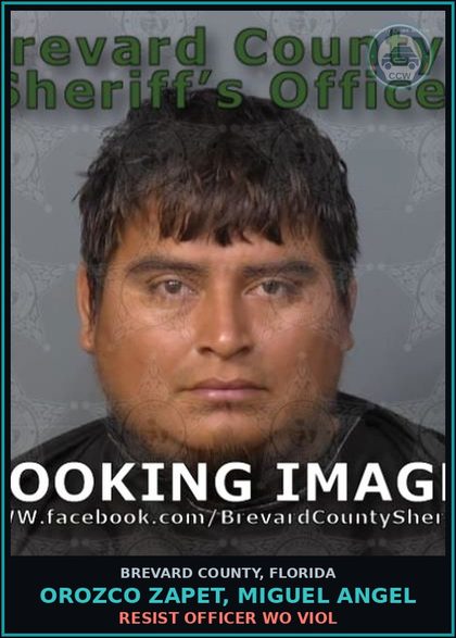 CCW arrest card for OROZCO ZAPET, MIGUEL ANGEL in Brevard County: Resist Officer WO Viol