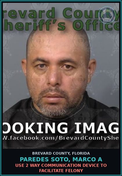 CCW arrest card for PAREDES SOTO, MARCO A in Brevard County: Dealer Poss/Exc Illegal Palmetto Berry Harvest