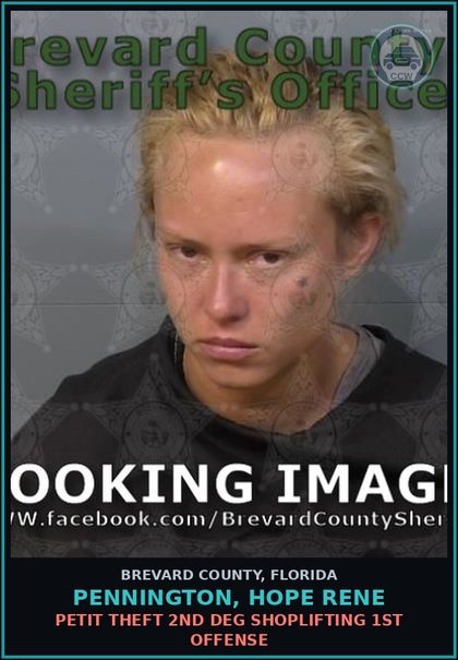 CCW arrest card for PENNINGTON, HOPE RENE in Brevard County: VOP