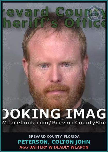 CCW arrest card for Peterson, Colton John in Brevard County: DWLS W/Knowledge 1st Offense